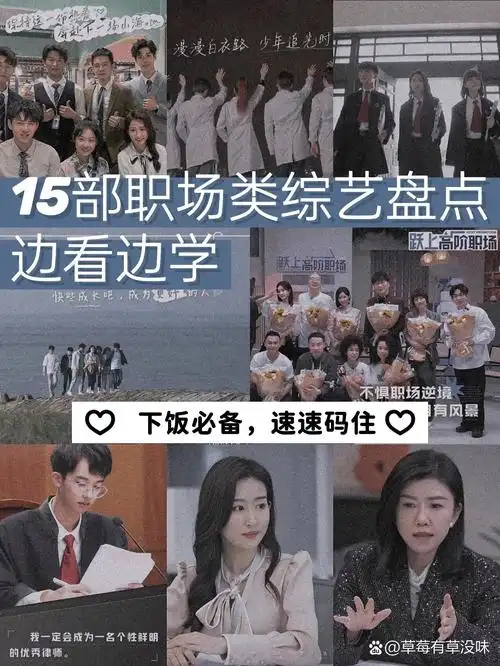 边看边学9715部宝藏职场类综艺