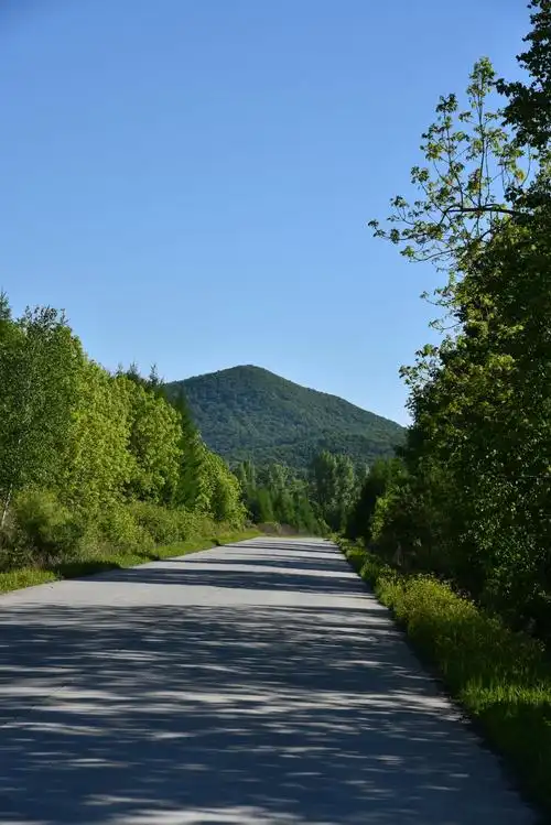 百度介绍开始:           神顶峰位于虎林市东北的完达山脉群山之中