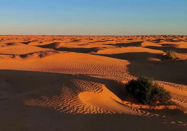 突尼斯之旅一撤哈拉沙漠