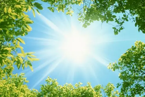 绿荫阳光图片第19张