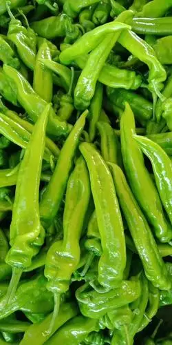 黄皮辣椒 黄皮尖椒