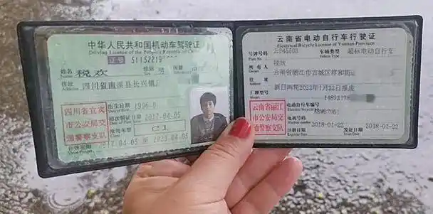 丽江radio-税师傅,您丢失的驾照在这里|行驶证|驾驶证|驾驶员_网易