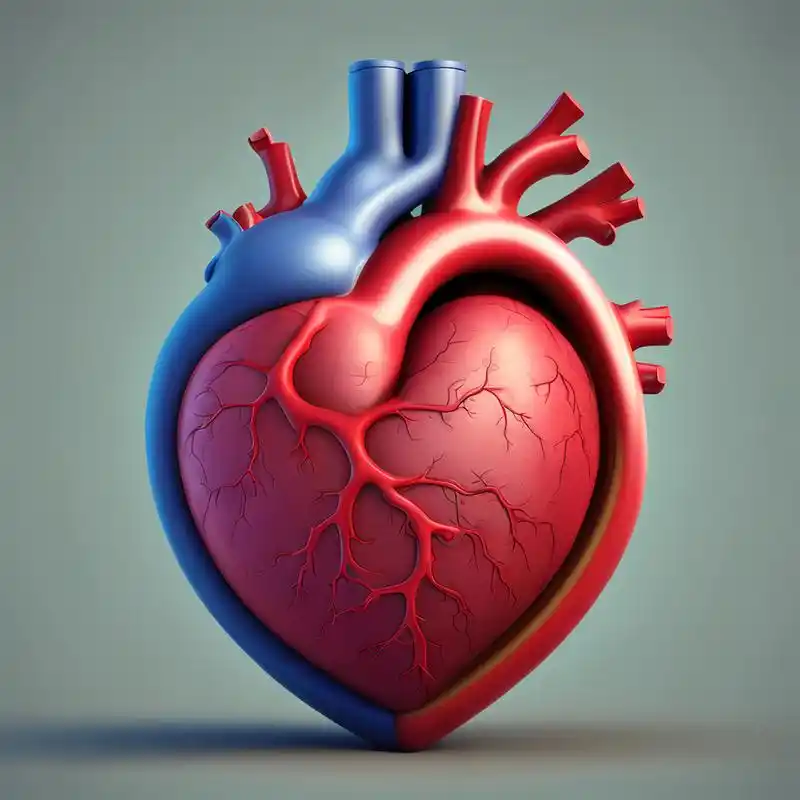 是指心脏射血的功能突然停止,因为心脏是人体重要的血液循环器官,心脏