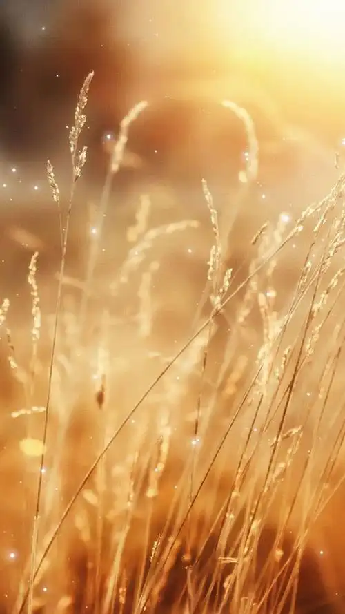 唯美意境图片手机壁纸 720x1280