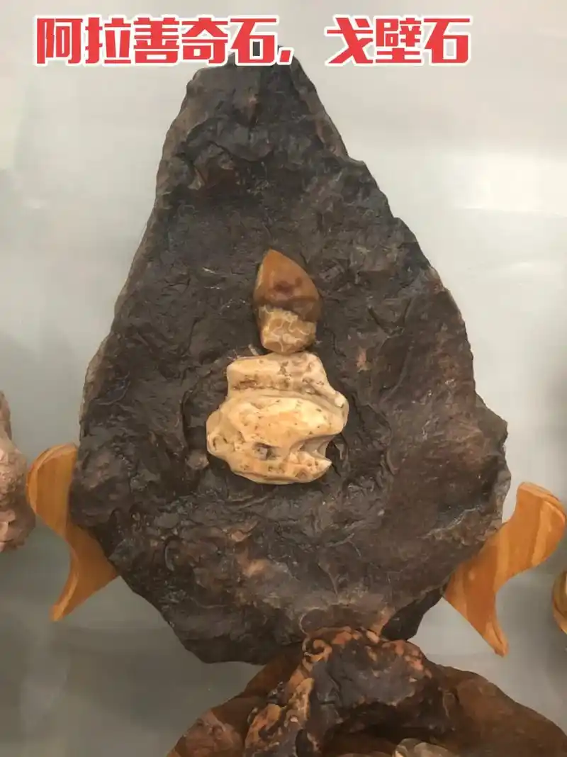 漂亮的阿拉善奇石.#美石分享 #纯天然奇石 #石来运转 #大 - 抖音