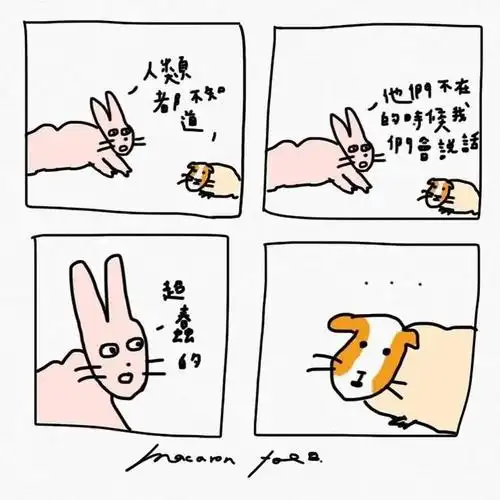 一组有深度的幽默四格漫画