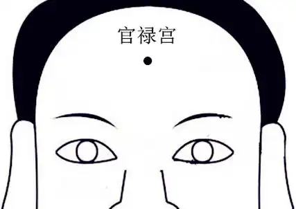 官禄宫里的星座组合没有化禄,化权,化科,化忌,是强势庙旺的,显示命造