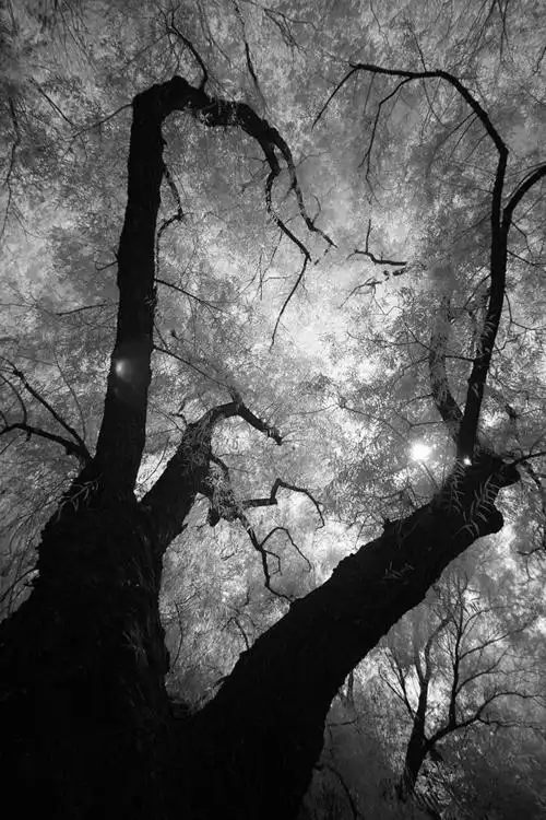 颐和园——黑白片四张