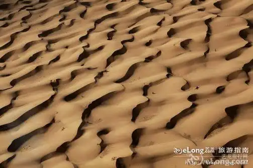 非洲撒哈拉大沙漠