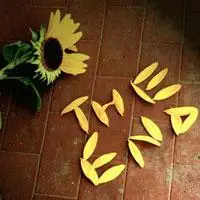 大字英文头像图片【点击鼠标右键下载】