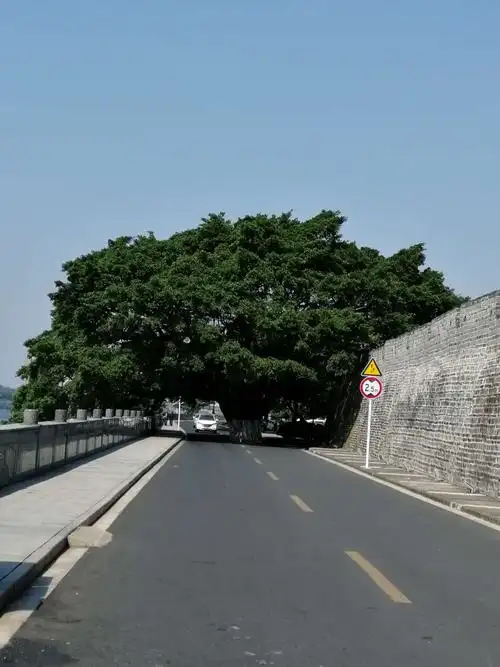 其它 万安旧城变新颜 写美篇  万安县城南门社区老城区改造成绩斐然