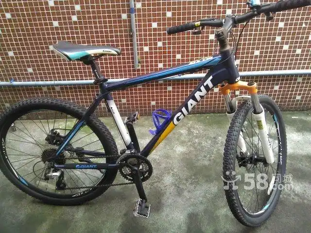 想问一下,这车是捷安特的什么型号?