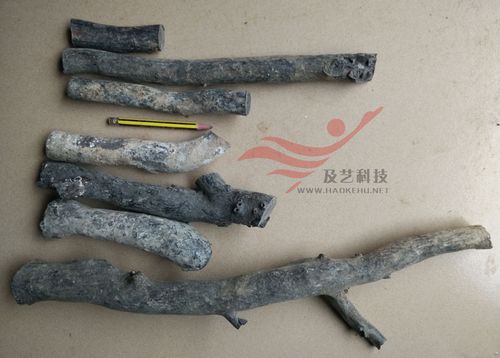 海铁树海柳藤海树黑珊瑚手镯串链摆件原材料现货超500g优惠