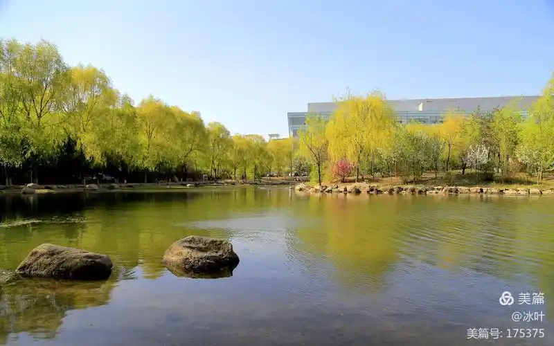 吉林大学校园随拍