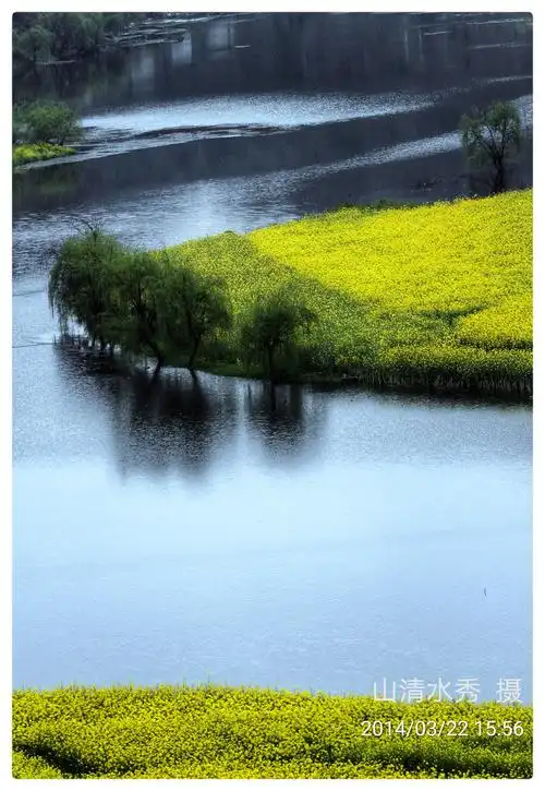 鸟语花香赛美人