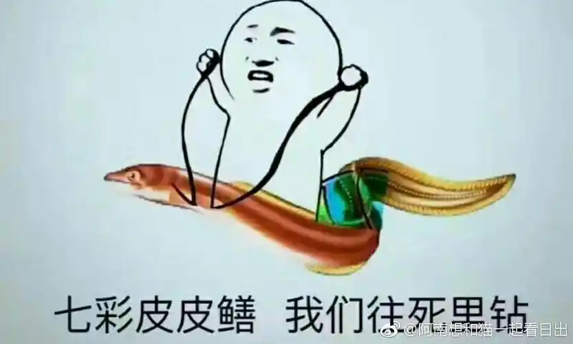 我回答了  的问题  请问小狮子对黄鳝女主