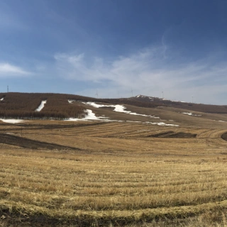 赋得古原草送别——白居易