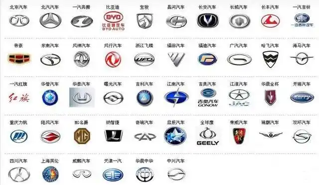 中国自主车的品牌是不是太多了?死掉几个最好!希望是国企