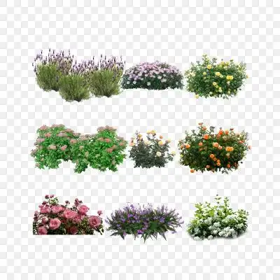 草丛景观树木ps树花卉植物素材灌木植物素材植物平面植物花草景观灌木