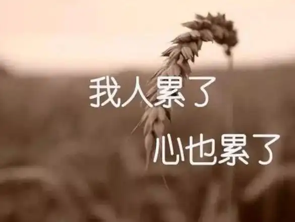 心里难受无助欲哭无泪的说说