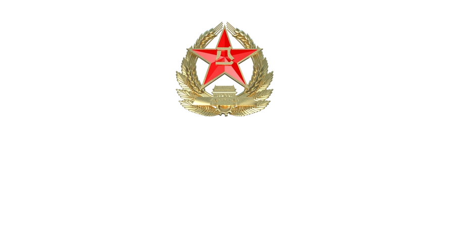 八一军徽落版