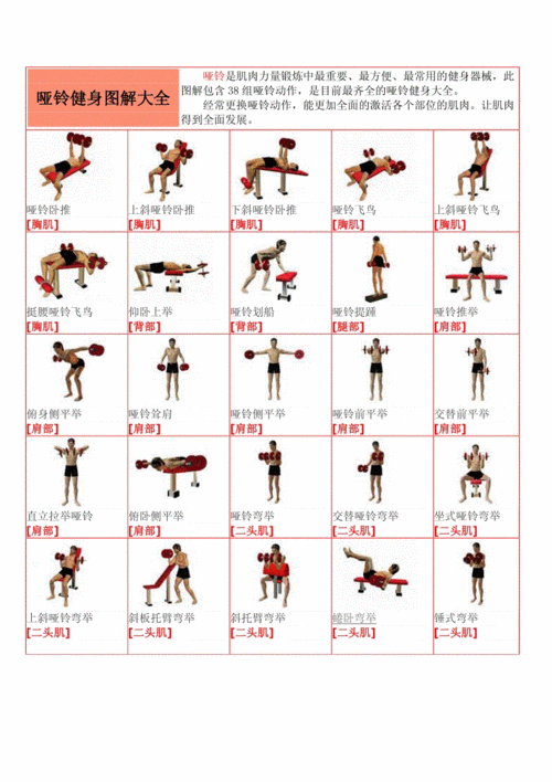 哑铃健身图解大全(38组).pdf