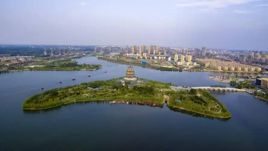 成武有了新名片—文亭湖成为中国鸟网观鸟基地