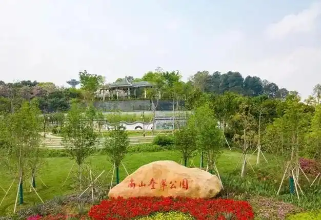 2024年佛山最美徒步路线揭晓十大线路一览周末约起来