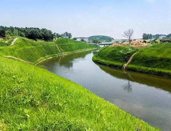 生态护坡植被选择-行业动态-河道生态护坡_生态挡土墙_工程咨询与设计