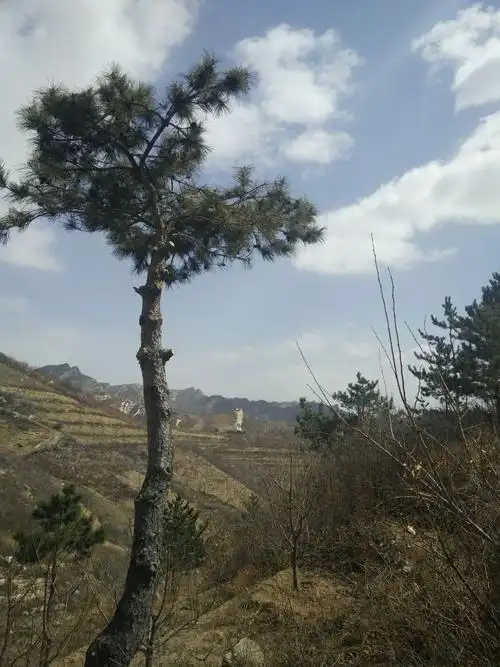 家乡美 之 义县老爷岭