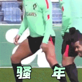 杯fifa葡萄牙骚年你的节操掉了gif动图_动态图_表情包下载_soogif