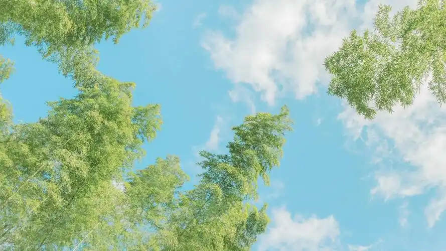 三明龙栖山清新景色,风景-回车桌面