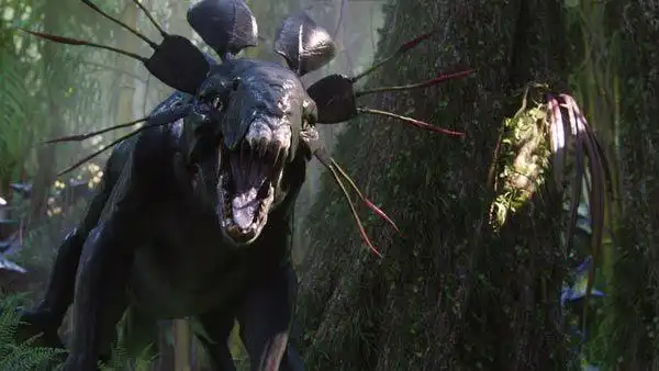 从进化的角度看《阿凡达》中潘多拉星球的生物多样性设计