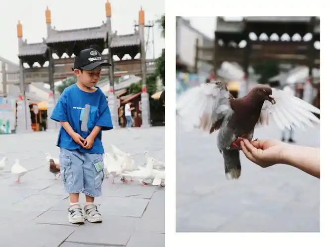 西安白鹿原白鹿仓溜娃一日游