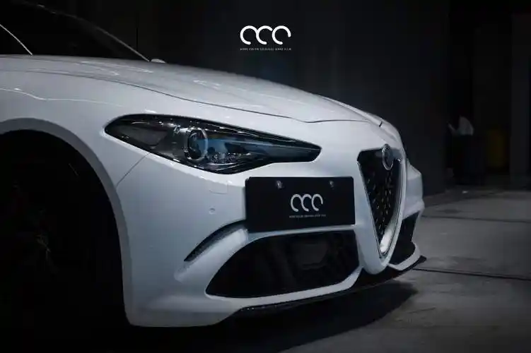 漫彩改色膜:阿尔法全车贴膜黑白渐变彩绘膜