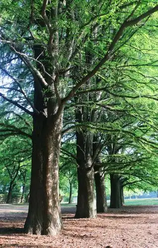 2000_3148竖版 竖屏