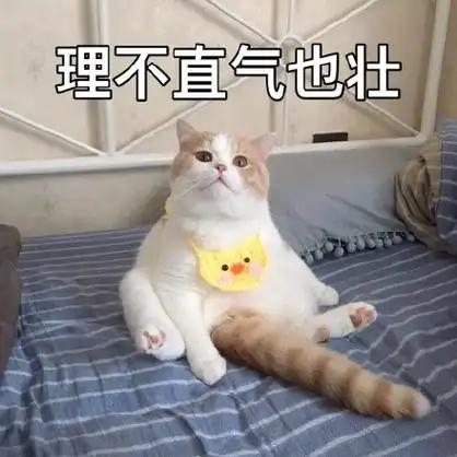 【理不直气也壮】gif动态图片 - 理不直气也壮动图表情包下载 - soo