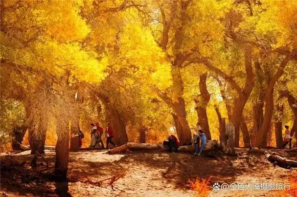 「金秋额济纳摄影团」张掖丹霞/额济纳胡杨林/巴丹吉林沙漠7日