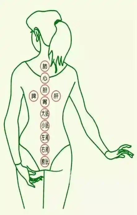 刮痧拔罐之后爽的这点秘密