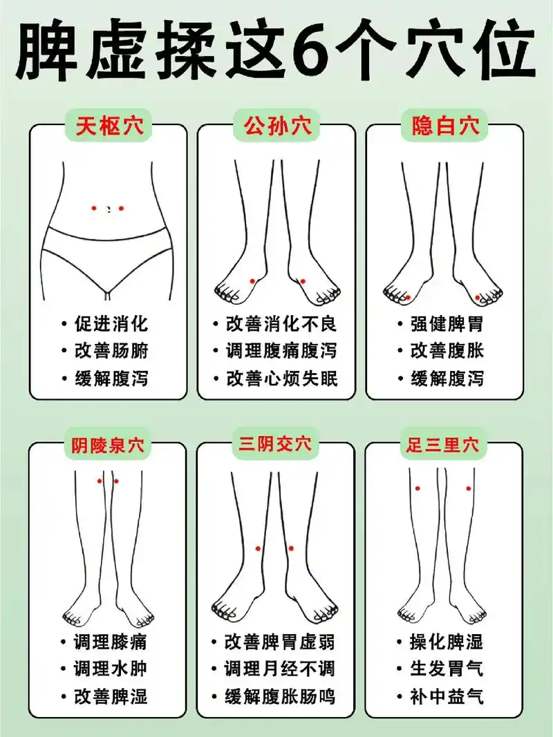 每天10分钟,脾虚可以多揉这6个地方.#健脾养胃 #脾胃虚弱 - 抖音