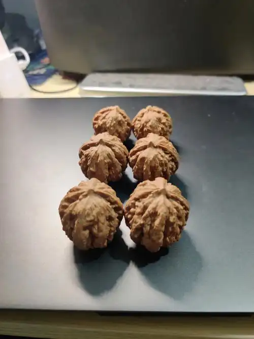 粗筋霸王龙秋子