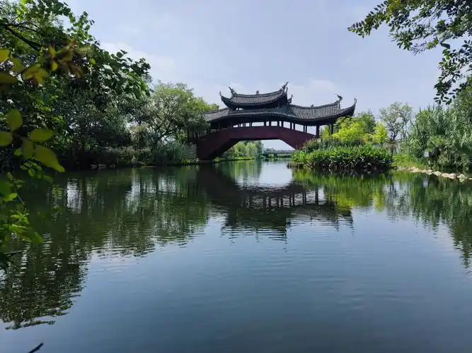 《廊桥》摄于,温州三垟湿地