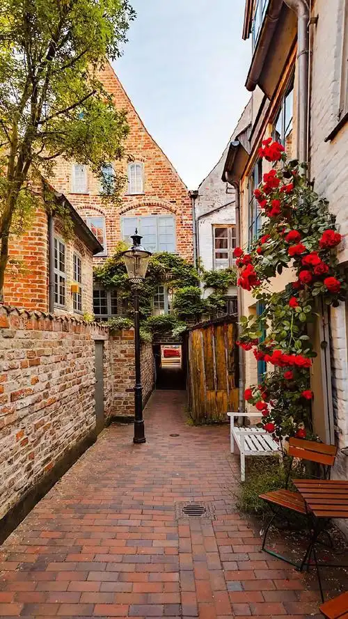 国外小镇街道风景图片手机壁纸