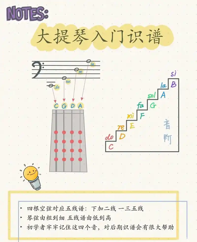 大提琴入门识谱及音符对应琴弦