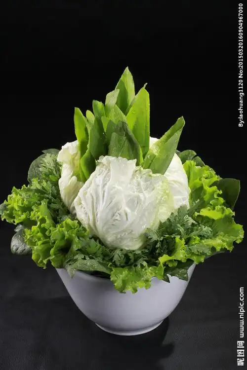 蔬菜大拼盘图片