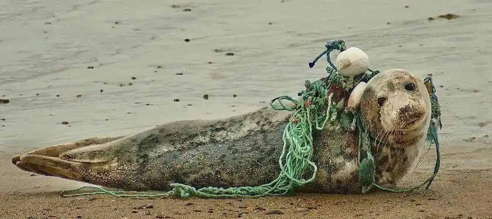 别让海洋变成垃圾海