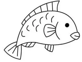 鱼的简笔画怎么画怎样画鱼又简单又好看