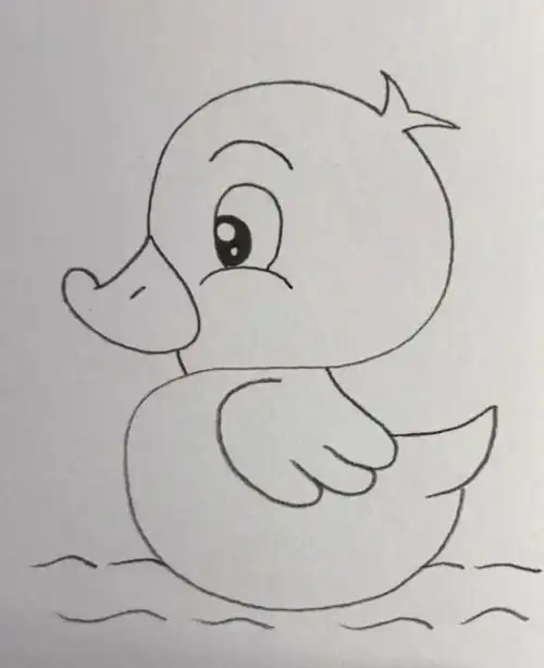 鸭子简笔画,5步画出萌鸭!