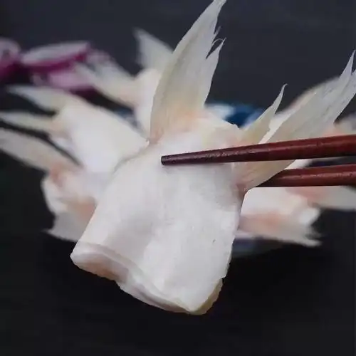 赛卡伊 [巴沙鱼鳍]新鲜冷冻鮰鱼翅鮰鱼鳍回鱼下巴巴沙鱼翅鱼下巴家庭