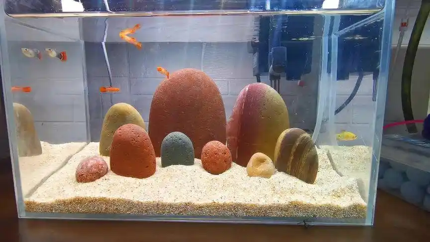 彩色石头鱼缸造景懒人布景组合#彩色石头 #鱼缸造景 #水族